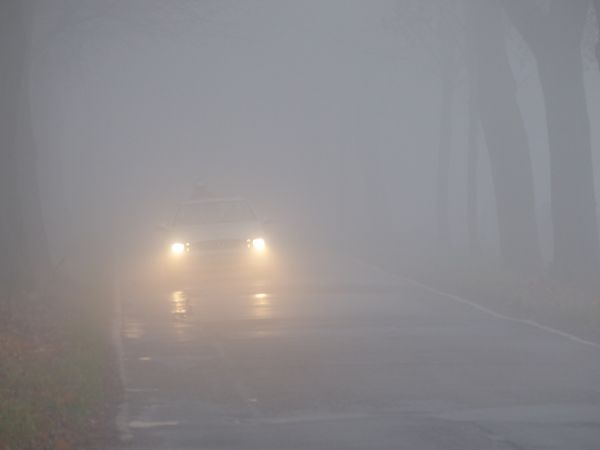 Der Nebel Imdb Der Nebel Imdb
